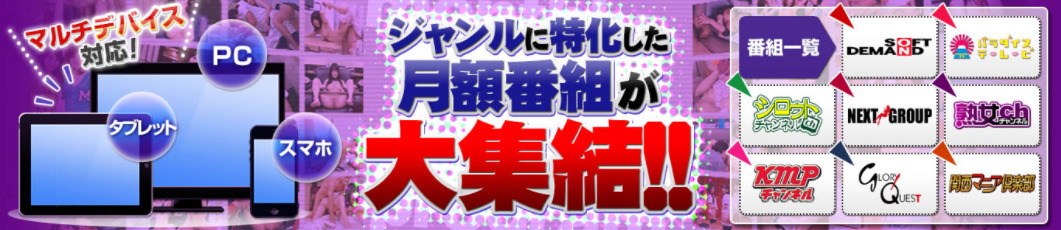 DUGA月額番組